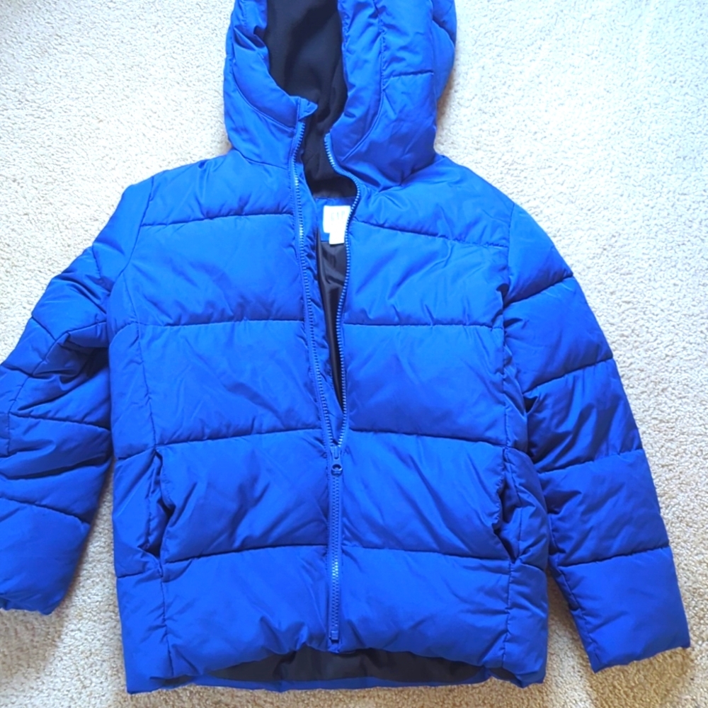 GAP blue puffer coat